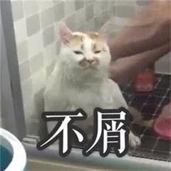 不屑(￣_,￣ )